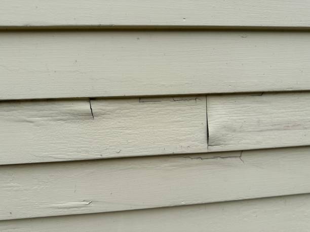 Best Siding Removal and Disposal  in North Hartsville, SC